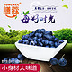 限地区：膳蔻(suncall) 美登蓝莓鲜果 长白山种植4*125g