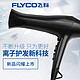 值友专享，历史新低：FLYCO飞科 FH6266 电吹风 2000W