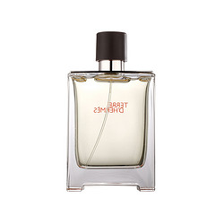 HERMÈS 爱马仕 大地 男士香水 100ml