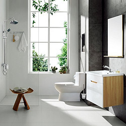 ENZO RODI 贝朗安住 浴室升级版套餐 马桶+浴室柜(带镜子)+抽拉面盆龙头+淋浴花洒