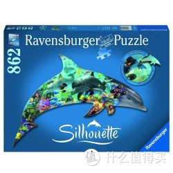 Ravensburger 睿思  R161546 海洋世界-异形拼图 862片