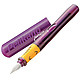 Pelikan 百利金 P67 学生用钢笔 中英文双语矫正握姿 紫 EF