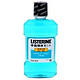 LISTERINE 李施德林 漱口水 250ml*9瓶