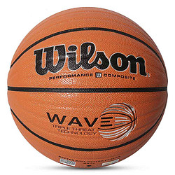 Wilson 威尔胜 WAVE WB504SV 标准篮球*2个