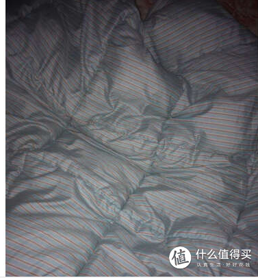 维众