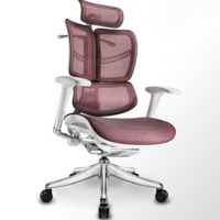 Ergomax Evolution人体工学椅电脑椅家用电竞游戏椅老板椅办公椅