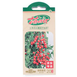 萌吖吖 樱桃番茄种子 园丁宝贝 红色 进口小西红柿种子 蔬果种子 20粒/袋