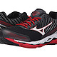 mizuno wave paradox 2