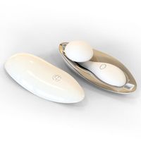 甜爱路 如意振动棒