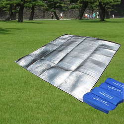 FLYVII 双面铝膜防潮垫 野餐垫