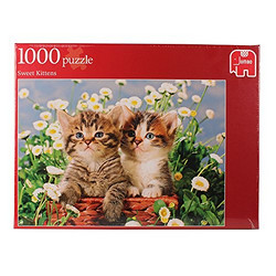 Jumbo 17320 甜美的小猫 拼图 1000片