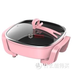 LIVEN 利仁 DHG-T2800F  多功能电热锅 浅粉