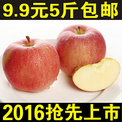 包邮陕西洛川红富士新鲜苹果水果特产非栖霞烟台阿克苏好吃5斤装
