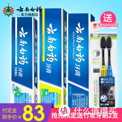 YUNNANBAIYAO 云南白药 薄荷留兰冬青 牙膏 555g