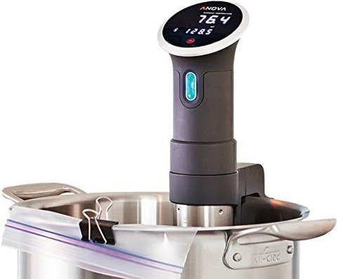 史低：Anova Culinary Precision Cooker 低温烹饪精确加热器多少钱