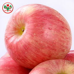 永醇苹果山东农家特产红富士新鲜水果5斤正宗烟台苹果脆甜多汁