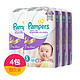 Pampers 帮宝适 纸尿裤 S 60片*4包 紫色