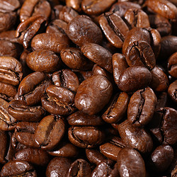 曼特宁咖啡豆进口生豆烘焙可代磨纯黑咖啡粉焦糖风味227克包邮