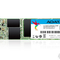 ADATA 威刚 SU800 M.2 固态硬盘 256GB