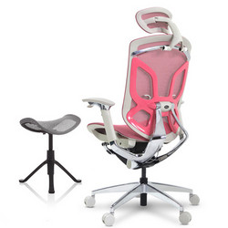Ergoup 蝴蝶人体工学椅电脑椅