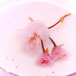  玉露园 盐渍樱花茶 40g 