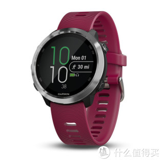 GARMIN 佳明 Forerunner 645 Music 运动心率表