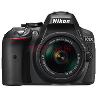 Nikon 尼康 D5300 （AF-P DX 18-55mm f/3.5-5.6G VR镜头+55-200mm f/4-5.6G ED VR II 镜头） 单反双头套机
