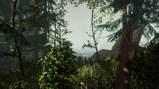 《（The Forest）森林》PC数字版中文游戏
