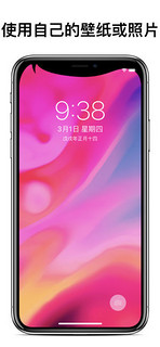 苹果 Apple《Custom Notch》iOS数字版软件