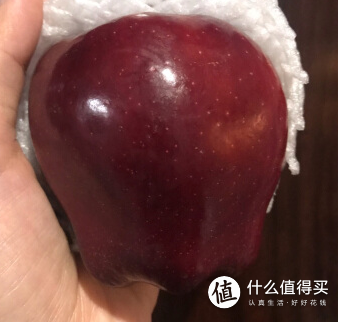 京东生鲜苹果