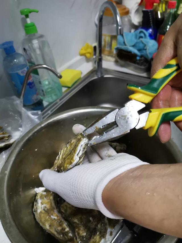 品质乳山生蚝我选择南泓村！个大肥美风味纯正！
