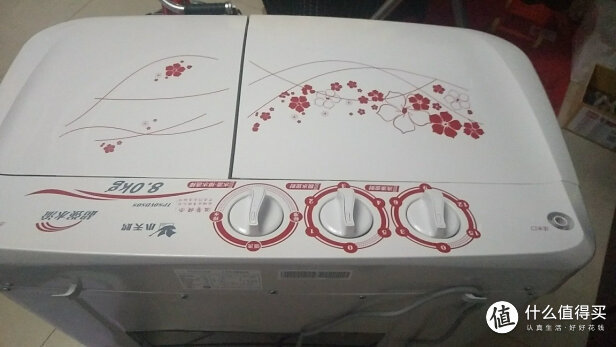 小天鹅洗衣机