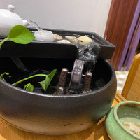 除了在办公室摸鱼,还在办公室养鱼