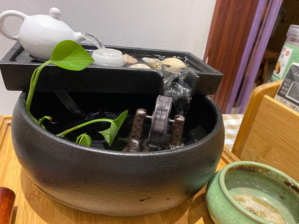 除了在办公室摸鱼，还在办公室养鱼