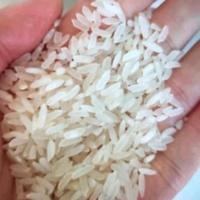 米粒纤长是进口大米